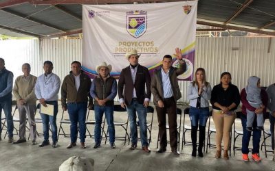 Entrega Adrián Esper Cárdenas proyectos productivos a familias vallenses