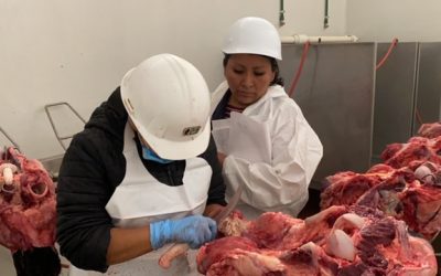 FORTALECEN PROGRAMA DE ERRADICACIÓN DE LA TUBERCULOSIS BOVINA