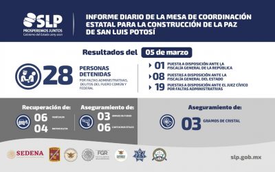 DETUVIERON A 28 PERSONAS EN 24 HORAS