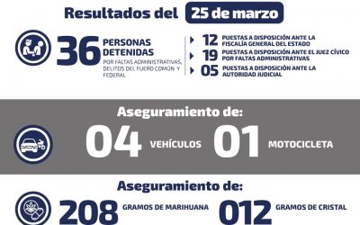 DETIENEN A 28 PERSONAS POR DIVERSOS DELITOS.