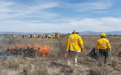 CONTINÚA LA CAPACITACIÓN EN COMBATE DE INCENDIOS FORESTALES