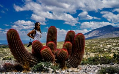 SECTUR INVITA A CONOCER EL ALTIPLANO POTOSINO SIN SALIR DE CASA