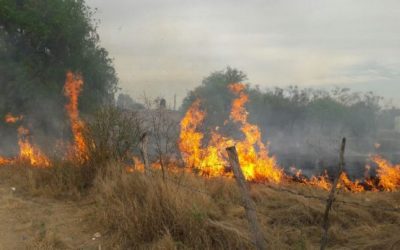 INCENDIO FORESTAL EN RIOVERDE CONTROLADO AL 75%