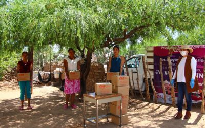 GOBIERNO DEL ESTADO ENTREGARÁ 110 MIL DESPENSAS A POBLACIÓN VULNERABLE COMO APOYO POR EMERGENCIA SANITARIA NACIONAL.