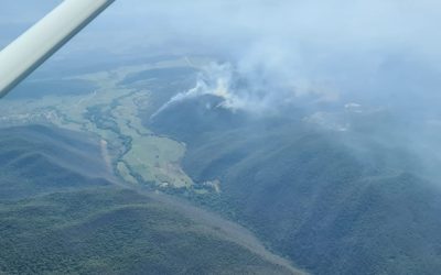 DOS INCENDIOS FORESTALES, LOS MAS RIEGOSOS EN EL ESTADO.