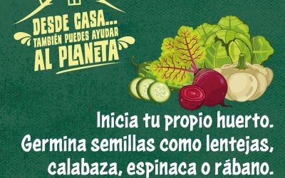 DESDE CASA TAMBIÉN PUEDES AYUDAR AL PLANETA, CAMPAÑA VIRTUAL DE LA SEGAM EN LA JORNADA DE SANA DISTANCIA.