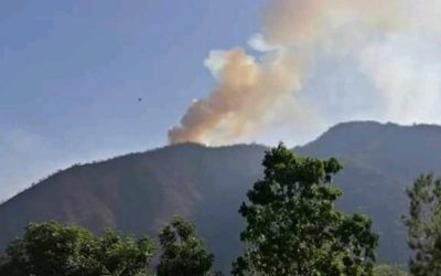 INCENDIO FORESTAL EN SANTA MARÍA DEL RÍO.