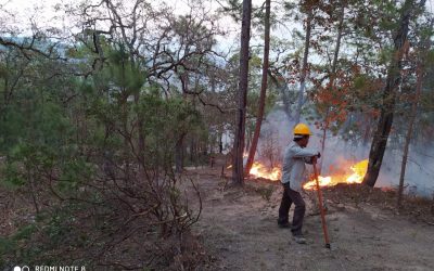 INCENDIO EN SIERRA DE BAGRES CONTROLADO A UN 95%: CONAFOR.