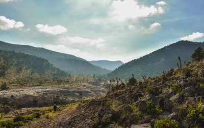 EL ANP RESERVA ESTATAL SIERRA DE SAN MIGUELITO CUENTA CON SU PLAN DE MANEJO.