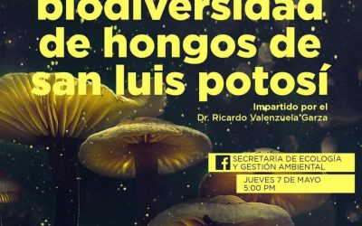 SEGAM INICIARÁ PROGRAMA DE VIDEOCONFERENCIAS SOBRE BIODIVERSIDAD EN FACEBOOK LIVE.