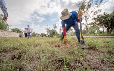 SEGAM Y CONAFOR INICIAN PROGRAMA DE REFORESTACIÓN 2020.