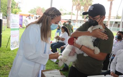 ARRANCA LA JORNADA NACIONAL DE VACUNACIÓN ANTIRRÁBICA CANINA Y FELINA 2021