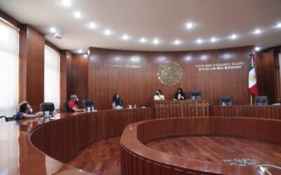 DEBERÁ LA CEDH IMPLEMENTAR EL MECANISMO INDEPENDIENTE DE MONITOREO ESTATAL DE LA CONVENCIÓN SOBRE LOS DERECHOS DE LAS PERSONAS CON DISCAPACIDAD