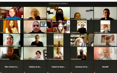 SESIONÓ DE MANERA VIRTUAL EL SISTEMA ESTATAL PARA LA PREVENCIÓN, ATENCIÓN, SANCIÓN Y ERRADICACIÓN DE LA VIOLENCIA CONTRA LAS MUJERES