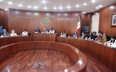 EN COMISIONES APRUEBAN LA PROPUESTA DE CONVOCATORIA PARA LA CONSULTA PÚBLICA DIRIGIDA A LAS PERSONAS CON DISCAPACIDAD Y A LOS INTERESADOS EN EL TEMA