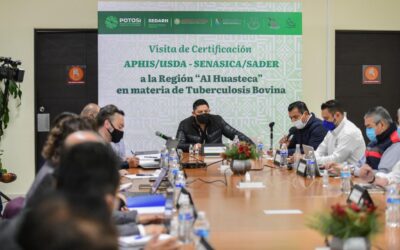 INICIA PROCESO DE CERTIFICACIÓN DE GANADO EN LA ZONA HUASTECA