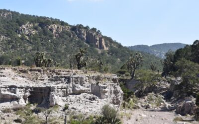 SIERRA DE SAN MIGUELITO SE CONVIERTE EN ÁREA NATURAL PROTEGIDA FEDERAL