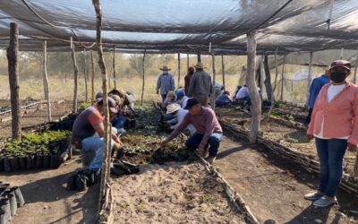 DESARROLLO AGROPECUARIO SOSTIENE REUNIÓN CON EJIDATARIOS DE LAS PITAS