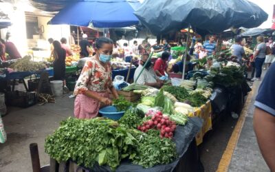 CONTINÚAN RESTRICCIONES POR SEMÁFORO VERDE