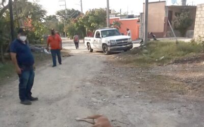 Se pronuncia Ayuntamiento con cero tolerancia hacia el maltrato animal