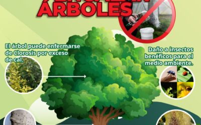 RECOMIENDA ECOLOGÍA NO ENCALAR ÁRBOLES