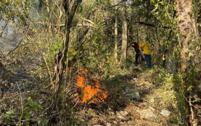 GOBIERNO COMBATE INCENDIOS FORESTALES