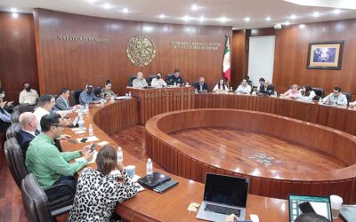 COMISIONES UNIDAS ACUERDAN SOLICITAR OPINIONES TÉCNICAS-JURÍDICAS SOBRE EMISIÓN DE NUEVA LEY DE MOVILIDAD