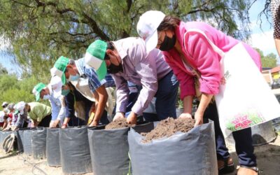 DIF ESTATAL CAPACITA A ADULTOS MAYORES SOBRE USO DE HUERTOS FAMILIARES