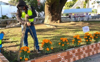 PIDEN A LA POBLACIÓN RESPETAR DECORACIÓN DE PLAZA PRINCIPAL