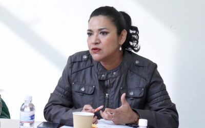 PARA PROTEGER A LAS MUJERES DE HECHOS DE VIOLENCIA SE DEBE EXTENDER LA ALERTA DE VIOLENCIA DE GÉNERO EN MUNICIPIOS DE LA ZONA MEDIA: DIP. EMMA IDALIA SALDAÑA