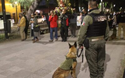 AGRUPAMIENTO K9 DE LA GUARDIA CIVIL ESTATAL REFUERZA ACCIONES DE VIGILANCIA POR PEREGRINACIONES