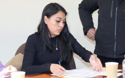 SE DEBEN TOMAR MEDIDAS QUE GARANTICEN LA SEGURIDAD DE LOS USUARIOS DEL TRANSPORTE URBANO Y CONTRIBUYAN A REDUCIR EL NÚMERO DE ACCIDENTES VIALES: DIP. LIDIA NALLELY VARGAS HERNÁNDEZ