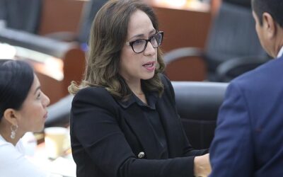 IMPULSAN REFORMA AL CÓDIGO PENAL DEL ESTADO CON EL OBJETIVO DE ADICIONAR EL DELITO DE AUTORIZACIÓN INDEBIDA DE OCUPACIÓN DE SUELO: DIP. LILIANA GUADALUPE FLORES ALMAZÁN