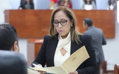 NECESARIO AVANZAR EN EL TEMA DE MOVILIDAD, Y TRANSPORTE SEGURO Y DE CALIDAD EN SAN LUIS POTOSÍ: DIP. LILIANA FLORES ALMAZÁN.