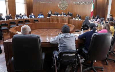 LA COMISIÓN DE DERECHOS HUMANOS CON APOYO DE LOS COLECTIVOS DE PERSONAS CON DISCAPACIDAD BUSCA ESTABLECER LOS MECANISMOS PARA REALIZAR LAS CONSULTAS PÚBLICAS