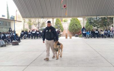 Gobierno del cambio brinda medidas de seguridad a estudiantes: VSE