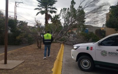 PROTECCIÓN CIVIL DEL ESTADO ATIENDE REPORTES POR FUERTES VIENTOS EN SLP