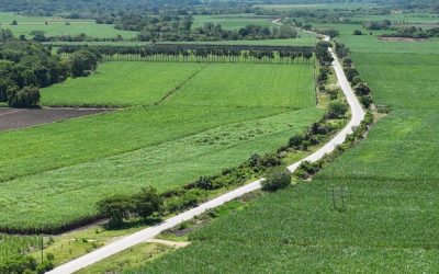 CARRETERA VALLES-EL NARANJO DETONARÁ COMO NUNCA EL CRECIMIENTO Y DESARROLLO ECONÓMICO LOCAL