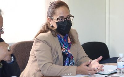 ES NECESARIO POTENCIALIZAR EL TURISMO EN SLP CON INVERSIONES QUE GENEREN UNA MAYOR OFERTA: DIP. LILIANA GUADALUPE FLORES