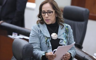 URGE UN PLAN DE DESARROLLO METROPOLITANO PARA GARANTIZAR UN ORDEN AL DESARROLLO Y CRECIMIENTO URBANO: DIP. LILIANA GUADALUPE FLORES ALMAZÁN