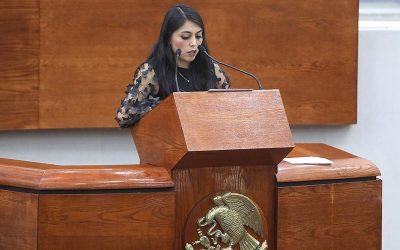 SAN LUIS POTOSI YA CUENTA CON UN PADRÓN DE PERSONAS DEUDORAS ALIMENTARIAS MOROSAS: DIP. LIDIA NALLELY VARGAS HERNÁNDEZ.