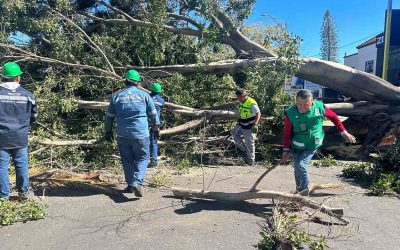 INTENSIFICA PROTECCIÓN CIVIL ESTATAL VIGILANCIA Y ATENCIÓN POR FUERTES RÁFAGAS DE VIENTO EN SLP