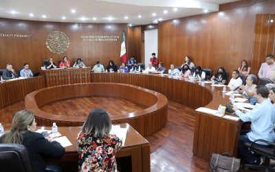 LEGISLADORAS Y LEGISLADORES SOSTIENEN REUNIÓN DE TRABAJO CON ASOCIACIONES Y COLECTIVOS PARA DEFINIR EL PLAN ESTRATÉGICO PARA LA CONSULTA A PERSONAS CON DISCAPACIDAD