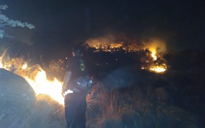 LIQUIDA PROTECCIÓN CIVIL INCENDIO FORESTAL EN LA SIERRA DE SAN MIGUELITO.