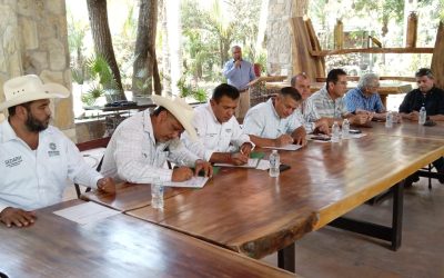 IMPULSA GOBIERNO DEL CAMBIO VIVERO DE ÁRBOLES FRUTALES Y MADERABLES PARA REFORESTACIÓN.