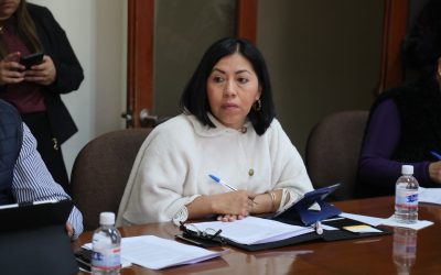 DIP. BERNARDA REYES HERNÁNDEZ, IMPULSA UNA INICIATIVA PARA REFORMAR LA LEY DE FOMENTO ARTESANAL DEL ESTADO