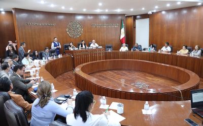 SE INTEGRAN ASOCIACIONES CIVILES E INSTITUCIONES PÚBLICAS PARA REALIZAR LA CONSULTA A PERSONAS CON DISCAPACIDAD