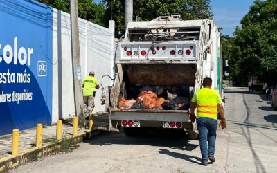 SE REPROGRAMA SERVICIO DE RECOLECCIÓN DE BASURA EN CIUDAD VALLES