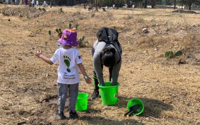 COORDINA GOBIERNO DEL CAMBIO SEGUNDA ETAPA DE REFORESTACIÓN DE PARQUES TANGAMANGA