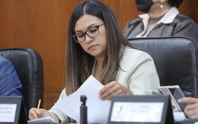 ALCALDESAS Y ALCALDES TIENEN LA OBLIGACIÓN DE ELEGIR PERFILES ADECUADOS PARA DIRIGIR LAS CORPORACIONES POLICIACAS: DIP. CINTHIA VERÓNICA SEGOVIA COLUNGA